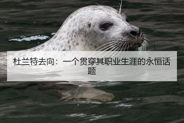 杜兰特去向：一个贯穿其职业生涯的永恒话题